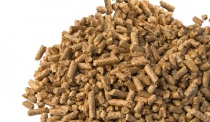 pellety